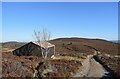 Hut near Hill of Corfeidly in AB31 4DP
