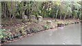 Tanks traps beside the canal in Boxmoor Wood in GU51 5ST