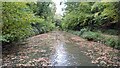 Basingstoke Canal southwest of Fleet in GU51 5TA