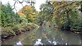 Basingstoke Canal adjacent to Sycamore Crescent in GU51 5NJ