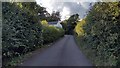 Lane heading to Bredenbury in HR7 4TF