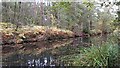 Basingstoke Canal at Mytchett in GU16 6BT