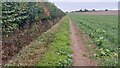Footpath and ditch across fields west of Crondall in GU10 5QA