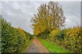 The Thames Path between autumn hedges in OX29 5AP