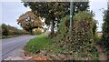 Footpath junction with Bidden Road in RG29 1BN