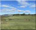 View North towards the Campsie Fells in G66 3TH