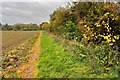 Footpath into Stanton Harcourt in OX29 5RT