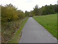 Surfaced path to Carlton Road in S71 2SJ