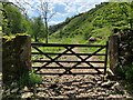 Gate and bridleway in Gratton Dale in Gratton