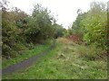Unofficial path on former railway in S71 3RW
