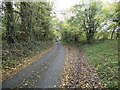 Passing places on a narrow rural lane near Llandyssil, Montgmeryshire in SY15 6HR