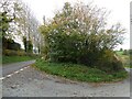 Rural lane junction in SY15 6HR