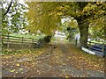 Entrance driveway to Mount Pleasant farm in SY15 6LP
