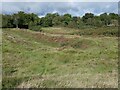 Parallel ditches, north side, Ardoch Roman fort in FK15 9QA