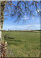 Field views from Shields Road in G75 9DS