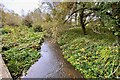 The mill stream at Broad Bridges in OX29 7SB