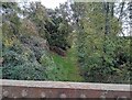 Disused railway line from the bridge in HR4 7BX