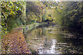 Grand Union Canal, near Tring in Aldbury and Wigginton Ward