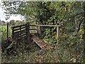Footbridge and stile near Ledwyche Brook in SY8 3BX