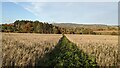 Titterstone Clee Hill (Viewed near Bleathwood) in SY8 3BX