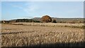 Titterstone Clee Hill (Viewed from Bleathwood) in SY8 4LR