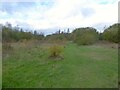 Walton Colliery Nature Park in WF1 5RZ