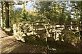 Footbridge over course of Wey and Arun Canal in GU6 8EZ