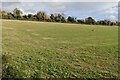 Field below Farthing Downs in CR5 1NA