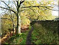 Walking above The Rivelin Valley in autumn in S10 4LT