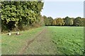 Path on the edge of Banstead Heath in KT20 5SE