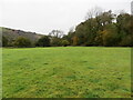 Pastureland at Llandre in SA19 8YL