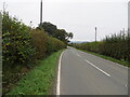 Hedge-lined road (A482) approaching Ynysau in SA19 8TA