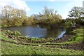Pond beside Rodway Lane in GL19 4HX