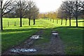 Tree-lined track through the Croft in SN7 8PX