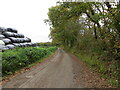 Tree and hedge-lined minor road near Allt Newydd in SA19 8UD
