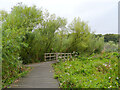 A footbridge on the Loch Leven Heritage Trail, Kinross in KY13 8UF