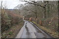Quiet rural Kent lane in TN26 3QZ