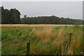 A field seen from the Loch Leven Heritage Trail, Kinross in KY13 8FX