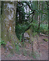 A wall and a derelict gate by the Loch Leven Heritage Trail, Kinross in KY13 9EZ