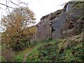 Quarry face at Denham Hill Quarry in PR6 8PR