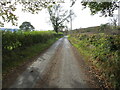 Hedge-lined minor road heading towards Glan-Tawe in SA19 7SG
