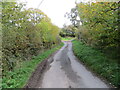 Junction of tree enclosed minor roads near Cwm-Dawe in SA19 7SD