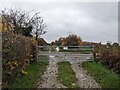 Footpath near Titley in HR5 3RL