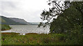 Loch Leven seen from Levenmouth Plantation in KY13 9JH