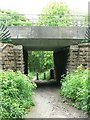 Bridge from Daffy Wood, Cookridge in LS16 6NT