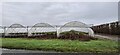 Polytunnels, Hesketh Moss in PR4 6XJ