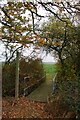 Footbridge on Footpath 20 in CM9 8JA