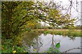 Autumn Colours by the Blackwater in CM9 6RA