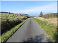 Minor road enclosed by forestry and farmland near Carreg Hir in SA19 7RD