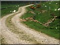 Track north from near Hillhead in AB34 4TJ